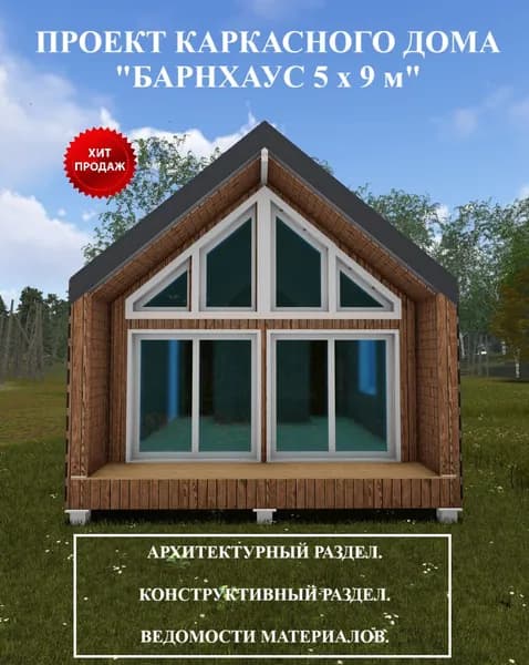 Проект каркасного дома "Барн-Хаус 5х9 м".