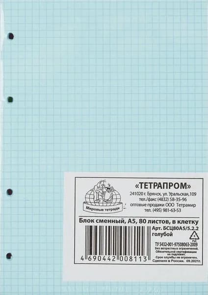 Сменный блок для тетрадей А5 80 листов в клетку голубой
