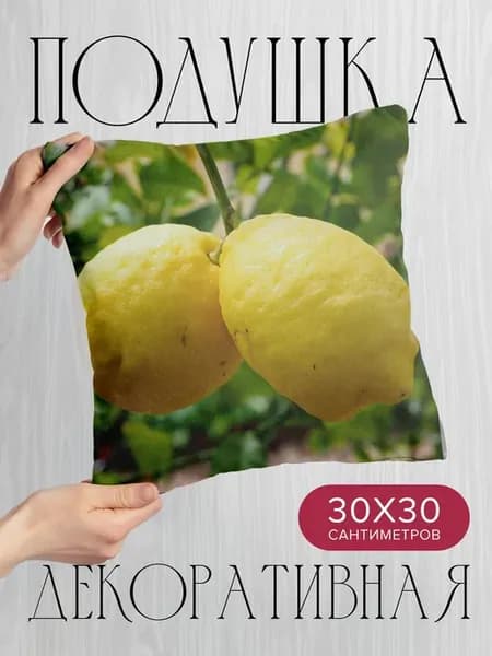 Подушка декоративная, 30x30см Еда лимоны фрукт