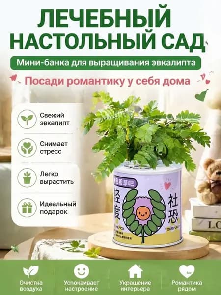 Кассета для рассады