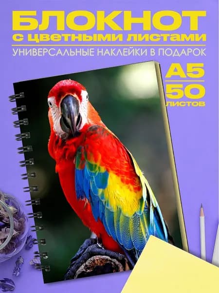Блокнот А5 Попугай