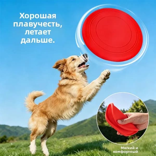 Тренировка ловкости собаки во фрисби