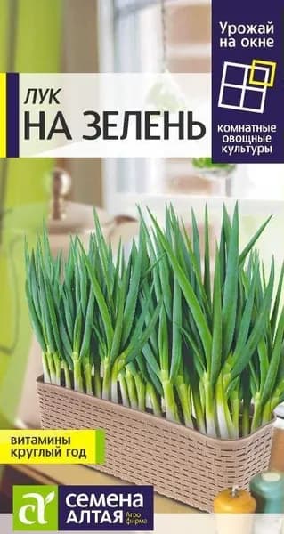 Лук на зелень (Семена Алтая), 0,5 г. Чистая классика! Самый любимый и популярный лук!