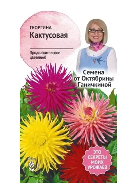 Семена Георгина Кактусовая Октябрины Ганичкиной