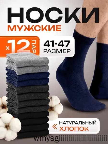 Носки мужские Носки мужские, 12 пар