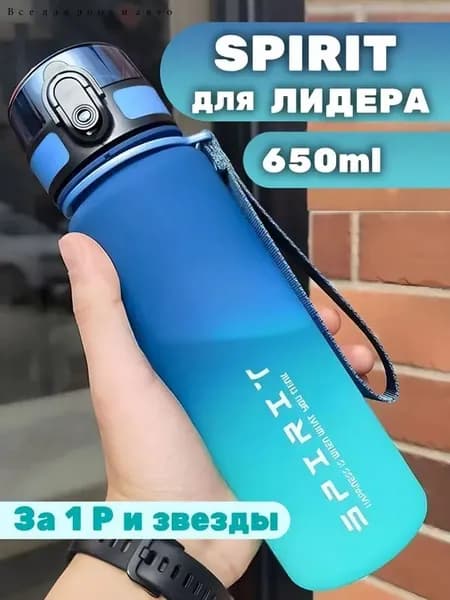 Спортивная бутылка, 650 мл