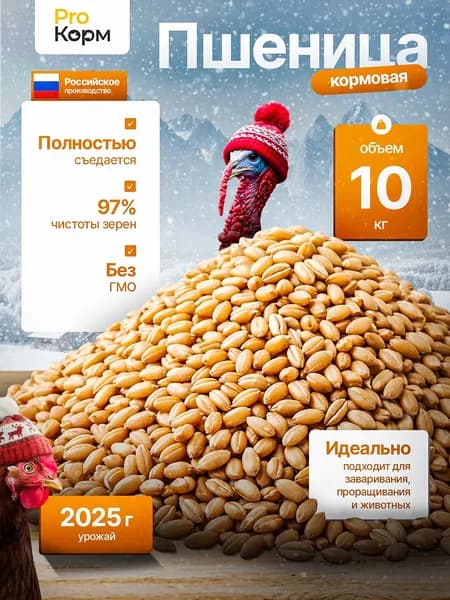 Пшеница для проращивания и корма животных 10кг
