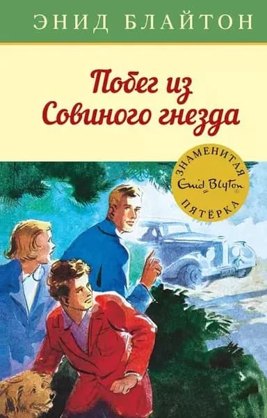 Побег из Совиного гнезда | Блайтон Энид | Электронная книга