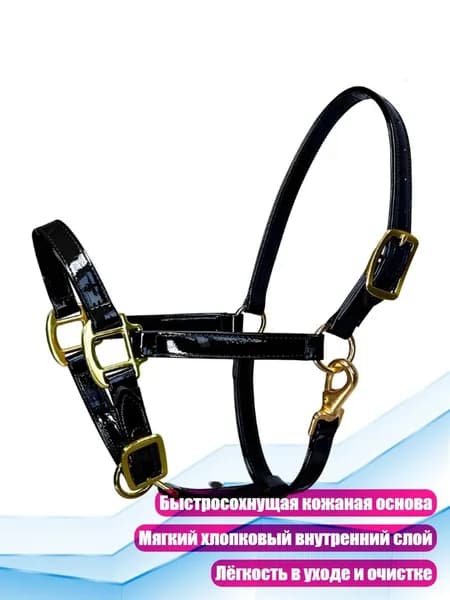 Золотистая уздечка для верховой езды, Черный - M