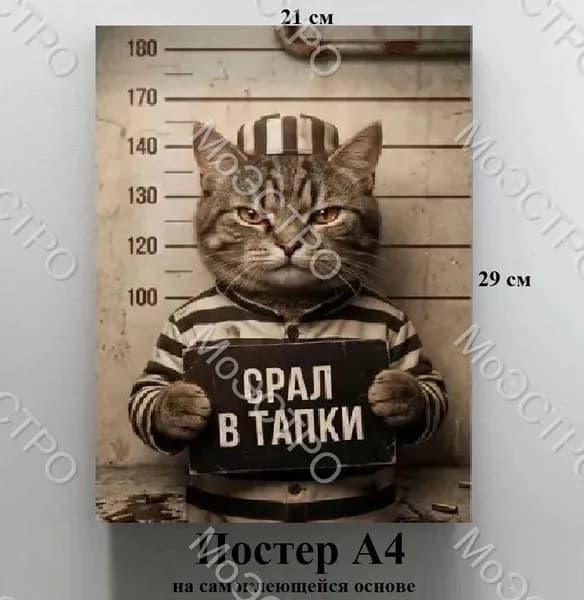 Постер МЕМ А4 "Кот гадил в тапки" самоклеящейся на стену, дверь, в гараж ( на самоклеящейся основе)