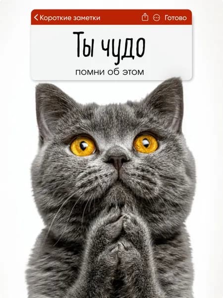Магнит на холодильник для подруги, сестры, коллеги, подарок, прикол, 1шт, 7х10см