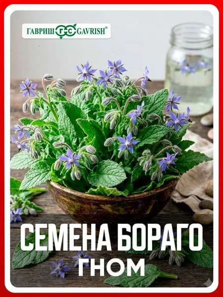Семена Бораго Огуречная трава "Гном" 0,5 г, для дачи, сада и огорода, в открытый грунт