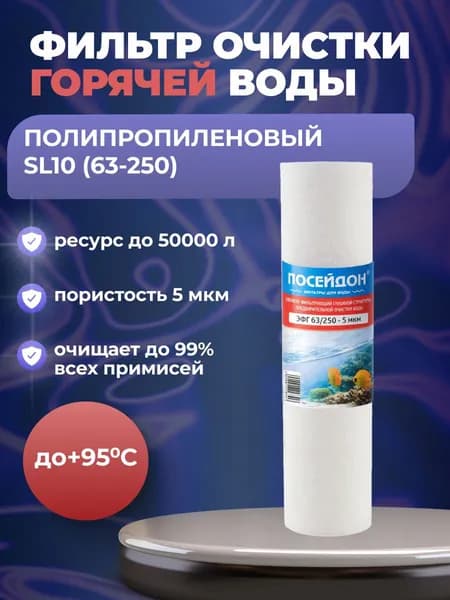 (1 шт) Фильтр Горячей Воды (SL10), 63/250 - 5 мкм