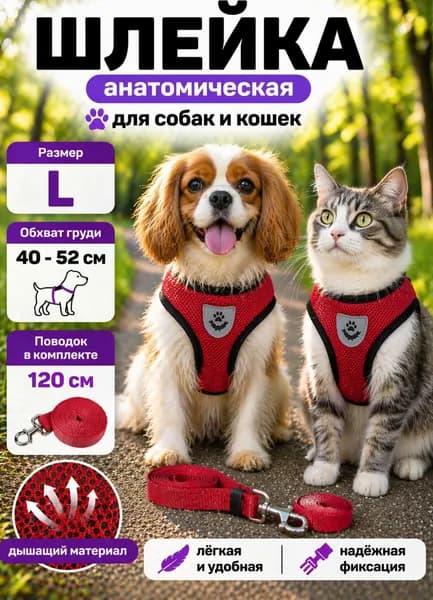 Шлейка для собак и кошек с поводком