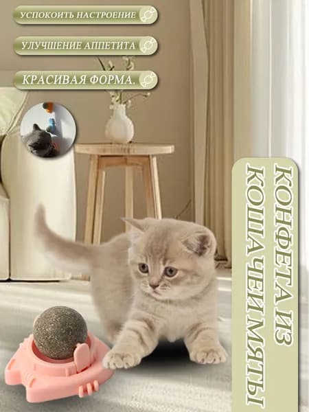 Игрушки для животных