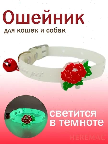 Ошейник HEREMAC