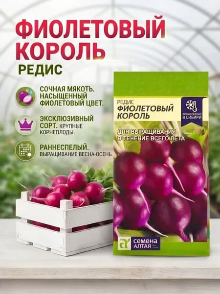 Редис Фиолетовый Король / Необычный сорт без горечи
