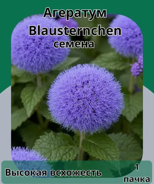 Агератум Blausternchen, семена 1пачка