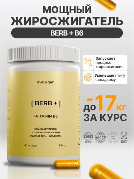 Таблетки берберин жиросжигатель для похудения