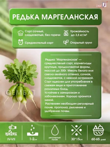 Редька Маргеланская 3г Сембат Семена чб