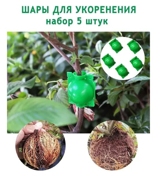 Фитомодуль,8см,5шт