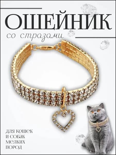 Стильный бестселлер для питомца