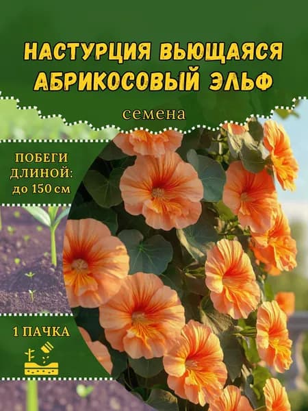 Настурция вьющаяся "Абрикосовый Эльф " семена, 1 пачка