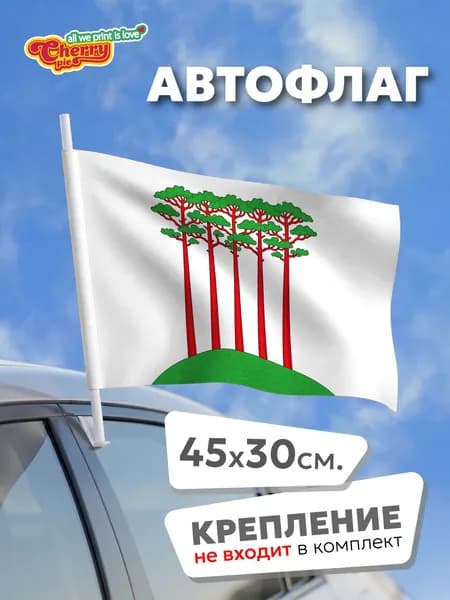Флаг 45x30 Проспект Вернадского (Москва)