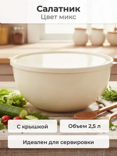 Салатник с крышкой 2,5л микс