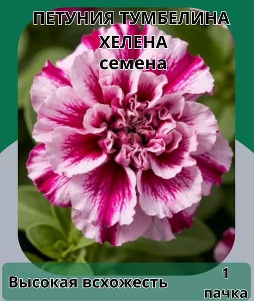 Петуния Тумбелина Хелена, семена 10шт