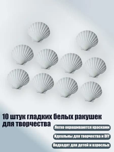 10 штук гладких белых ракушек для творчества, - Стиль D