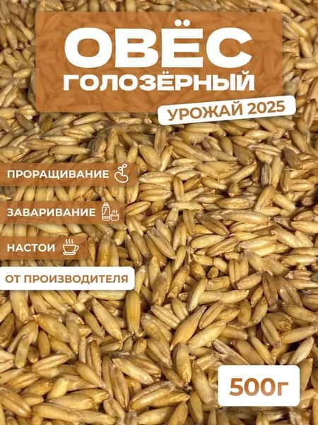Овес голозерный для заваривания и настоя, проращивания. Микрозелень для проращивания