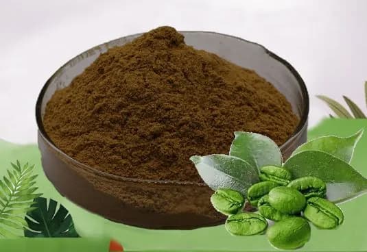 Экстракт зеленых кофейных зерен 20: 1 порошок (GCBE) ,100 г -1000 г , Green Coffee Bean