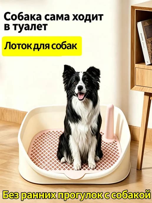 лоток с пеленкой для собак