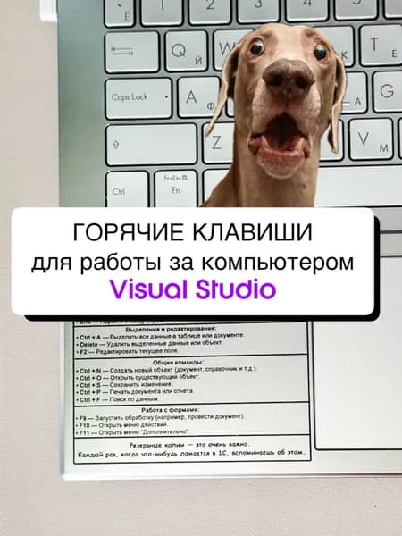Наклейка на ноутбук горячие клавиши для Visual Studio Code памятка (8/9см) .