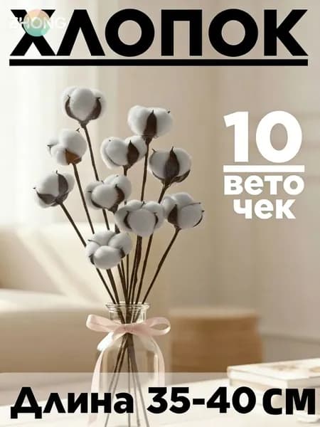 Сухоцветы Хлопок 36 см 10 шт белый