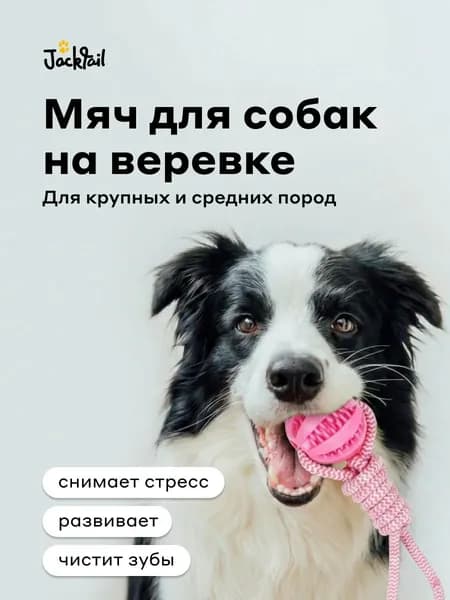 Мячик для собак крупных и средних пород на веревке