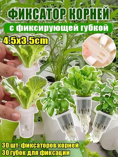 Кассета для рассады
