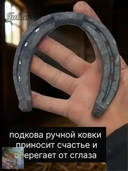 подкова(счастье приносящая )
