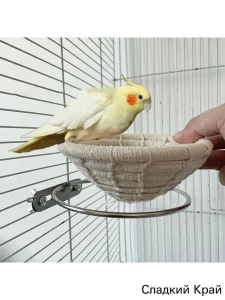 Птицы для гнезда