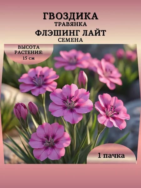 Гвоздика травянка "Флэшинг Лайт" семена, 1 пачка