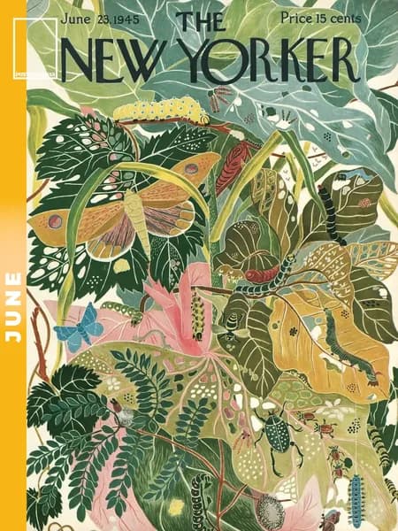 Постермания Постер "The New Yorker Лето Июнь 1945", 40х30 см