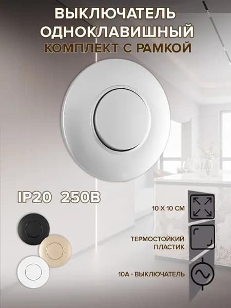 Выключатель круглый одноклавишный с рамкой, цвет - серебро, материал рамки - пластик, SET08-1-30-1 silver