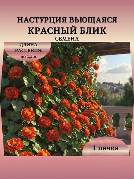 Настурция вьющаяся "Красный Блик" семена, 1 пачка