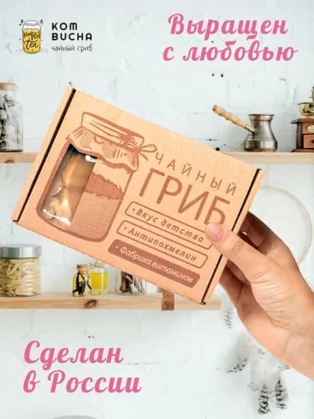 Чайный гриб КОМБУЧА. Живой чайный гриб