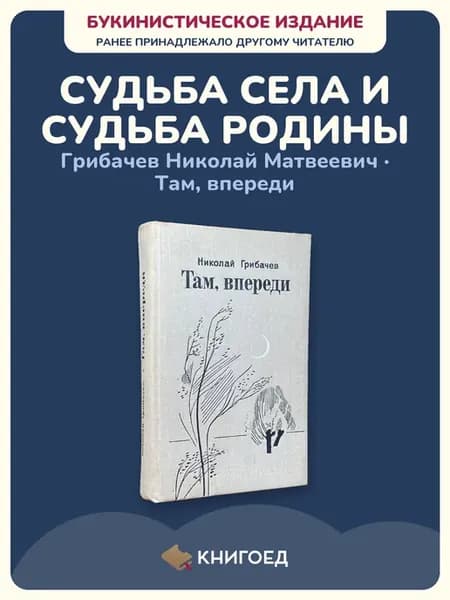 Грибачёв — Там, впереди (советская проза)