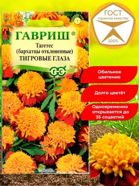 Семена цветов для сада Тагетес Тигровые Глаза, бархатцы отклоненные. Долгое, красивое цветение.