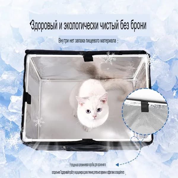 Домашнее иглу подходит для котят и щенков, чтобы освежиться летом