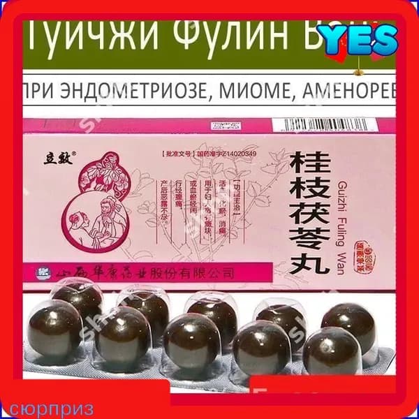 Гуйчжи Фулин Вань (Guizhi Fuling Wan) - при эндометриозе, миоме, аменорее