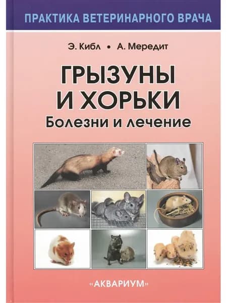 Грызуны и хорьки. Болезни и лечение